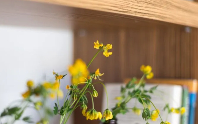 Thai World Apartment Spilberk II