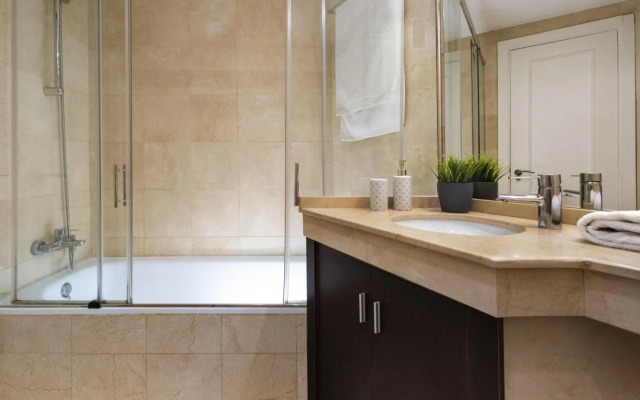 Misterhost san bernardo