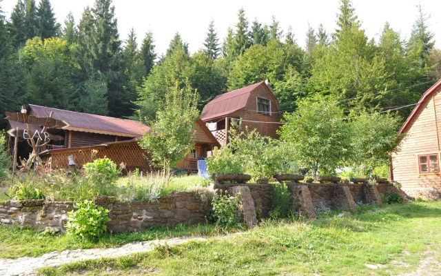 Zarinok