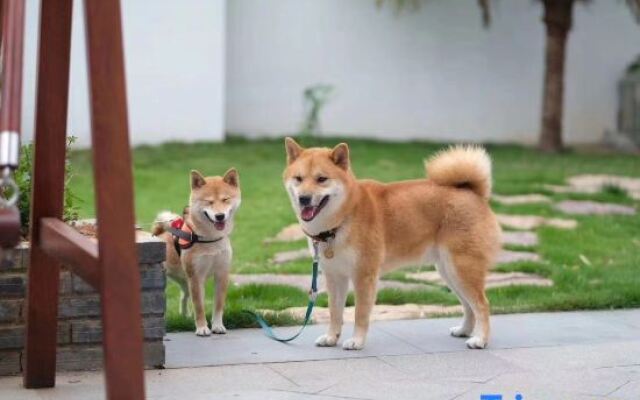 Anji Xianquan Yunlin Xijian Holiday Homestay