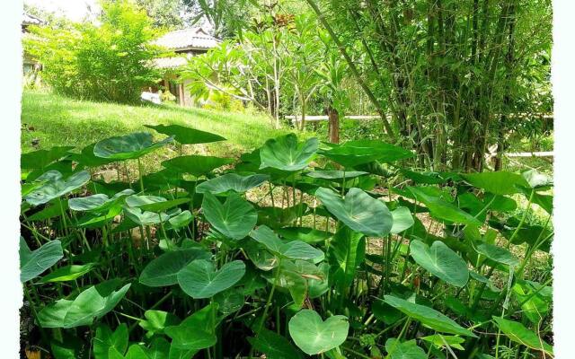 Paivana Resort