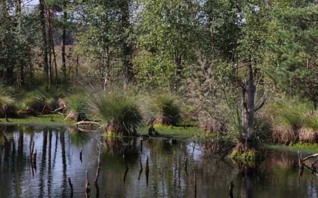 Ferienwohnungen / Ferienhaus Wahlers