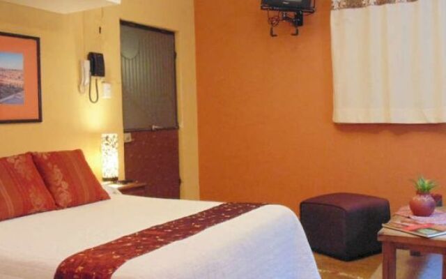 Coyotito Beds San Angel Suites con Encanto