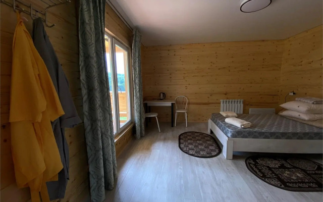 Кедр Золотой