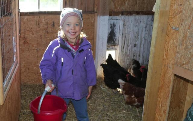 Schäferwagen Tiny House auf dem Friesenhof