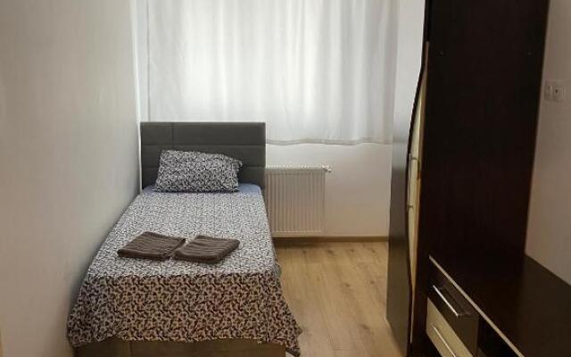 Cosmin Apartament Sondelor