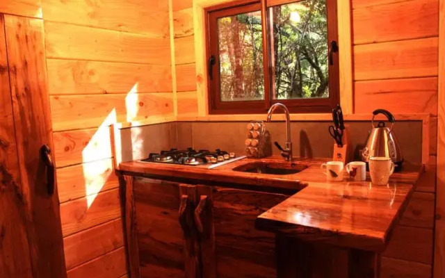 Cabanas Bosque Milenario