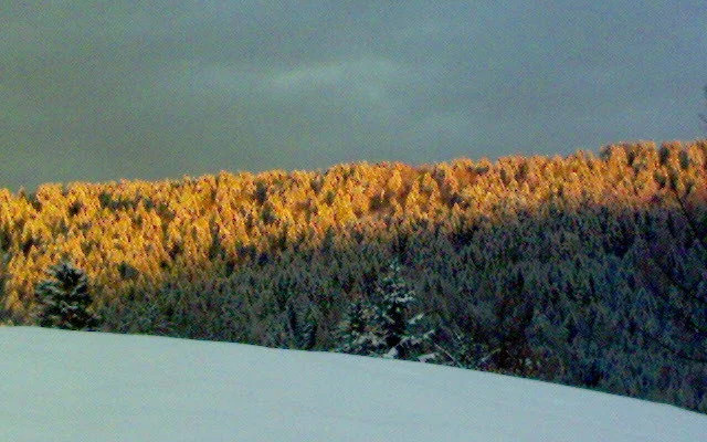 Residence la Madonnina