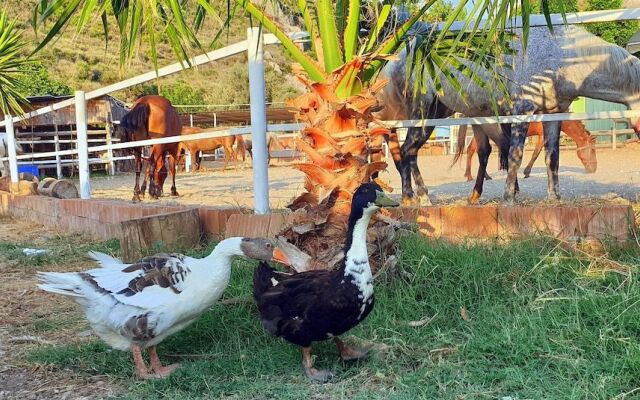 Patara Caretta Hotel