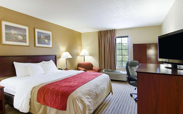 Comfort Inn New River