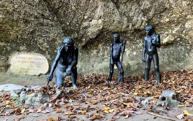 T & P- 200m From Centar City - SA1