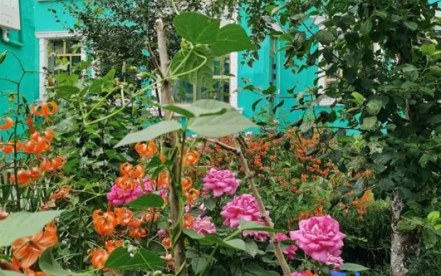 Yijing Farmhouse