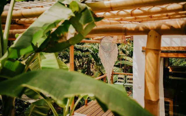 The Seed Habitat