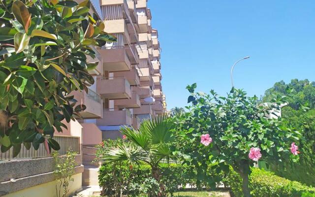 Gandia Beach 3000