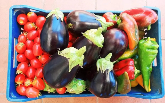 Borgo S.Maria Di Vulci