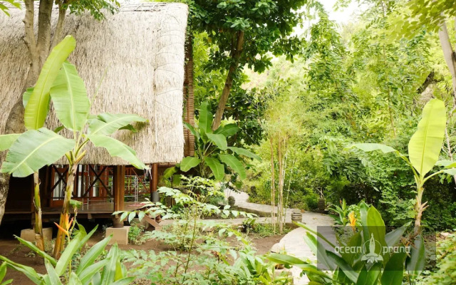 Ocean Prana - Hostel
