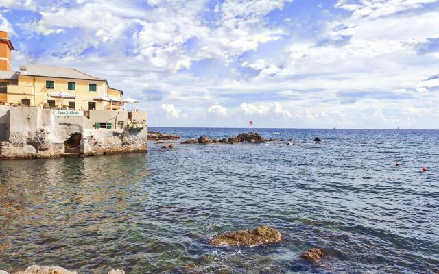 ViviBoccadasse - Glicine - P.IVA