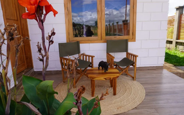 Moyoni Africa Lodge & Tours