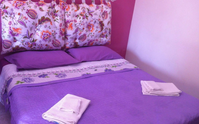 B&B Xenia