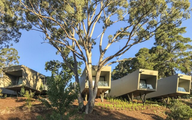 Hepburn Springs Escape Villa 9