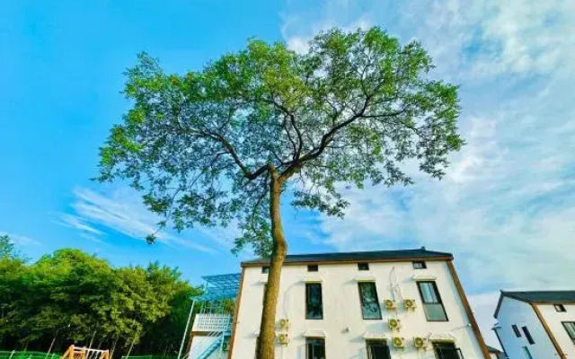 Wangyuan Hotel