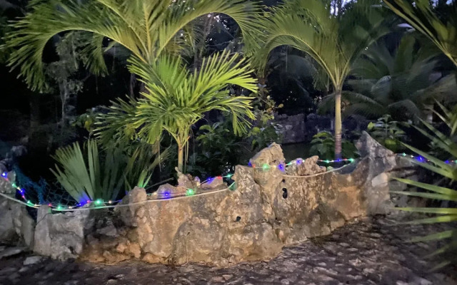 Villa Tortugas