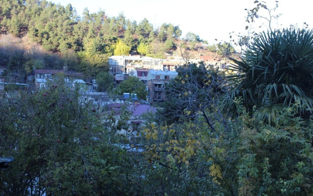 Old District Guest House