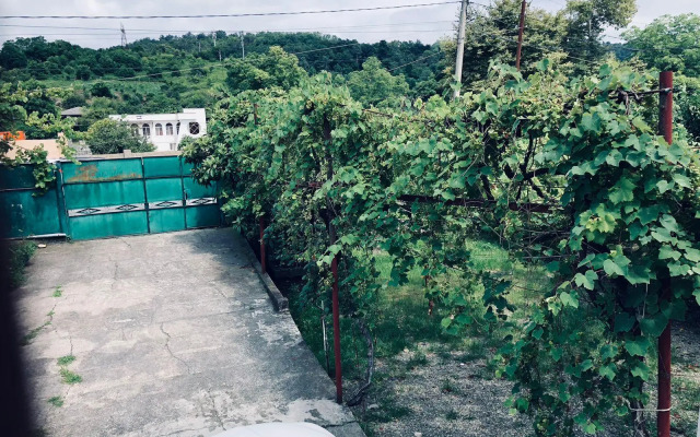 Gostevoi dom Kashtak