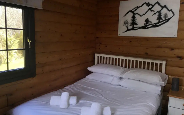 Snowdonia Log Cabin-sleeps 4-garden-pets