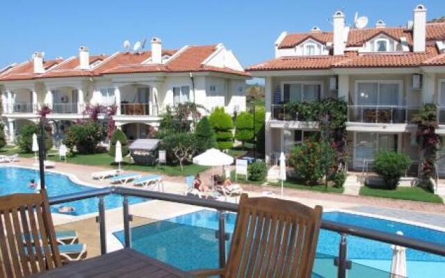 Sunset Beach Club Seashell 06