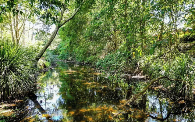 Tranquil Getaways On Obi Maleny