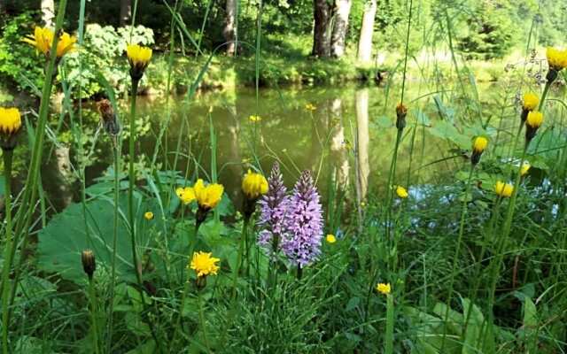 Zbójnicki Ostęp-Nocleg Trapera