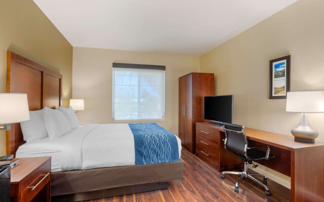Comfort Inn & Suites near Ontario Airport