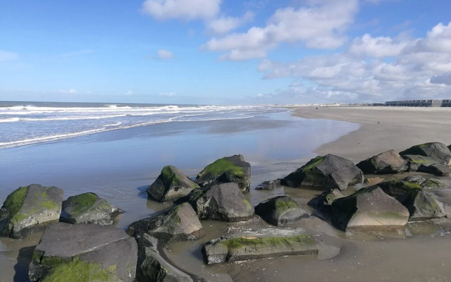 Hotel Noordzee