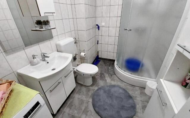 Apartment Ribnjak 10