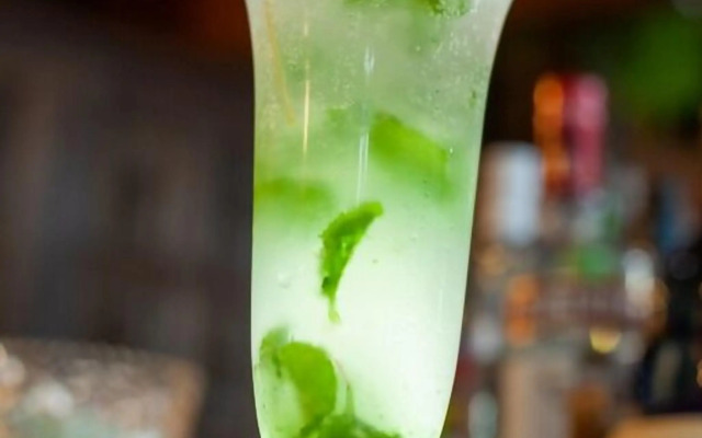 Pantanal - Pousada Sia Mariana