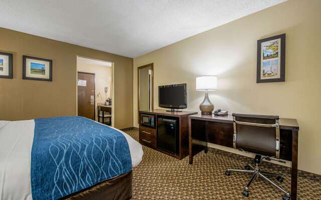 Comfort Inn Matteson - Chicago