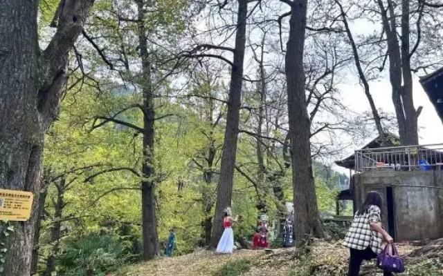 Panzhou Seven-color Hotel