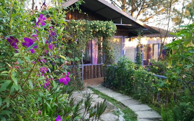 Pine Hill Homes Dalat