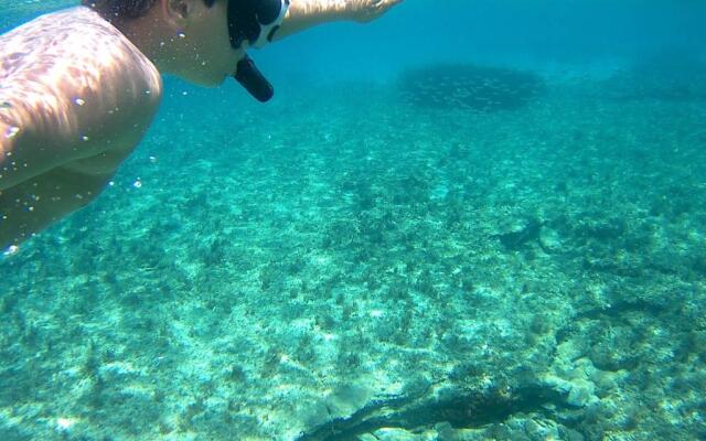 Villa Thymari - 4 bedroom beachfront luxury on private beach