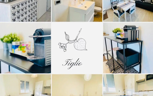 Green House in campagna