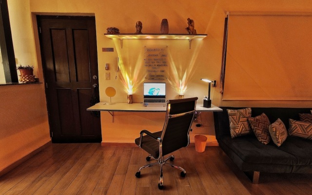 Citrus Studio By Paradox