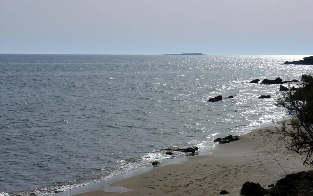 Golden Sands