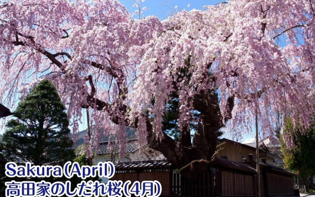 NIKKO stay house ARAI - Vacation STAY 14994v