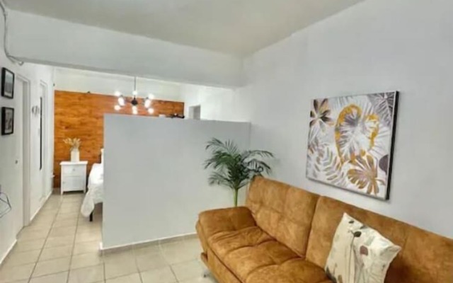 Condado Tropic Sun Apartment B