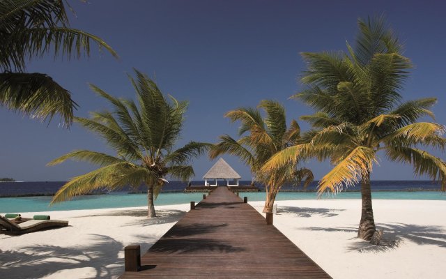 Coco Bodu Hithi