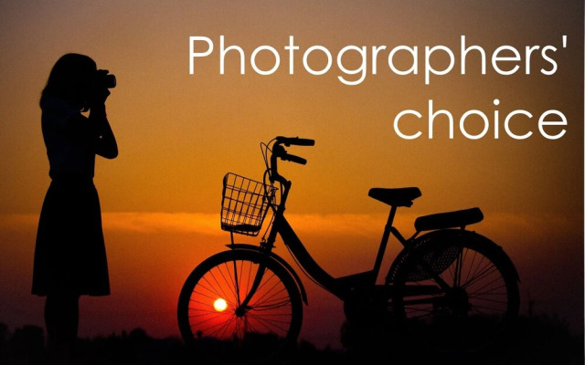 Villa Leknes Lofoten