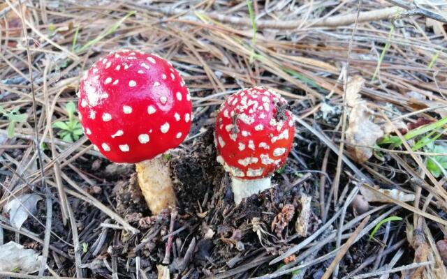 Residencial Mira-Sol