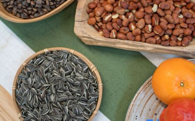 Xiao-zhu Zen buddhist lodge