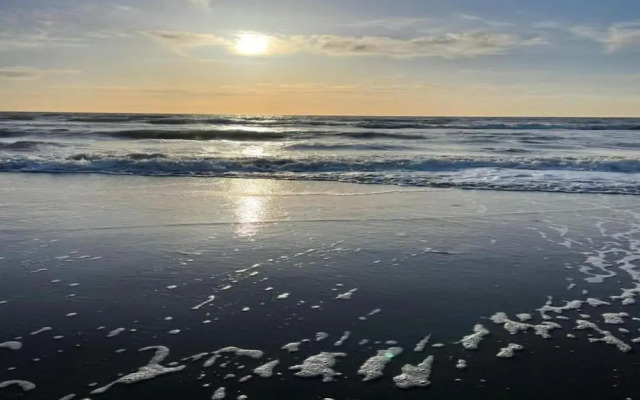 Apartment in Netherlands Near the Coast